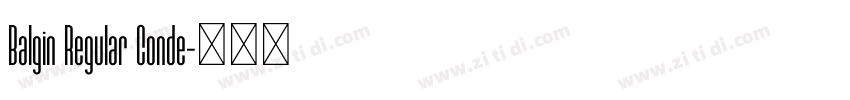 Balgin Regular Conde字体转换